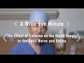 The Effect of Caffeine on the Blood Supply to the Optic Nerve and Retina