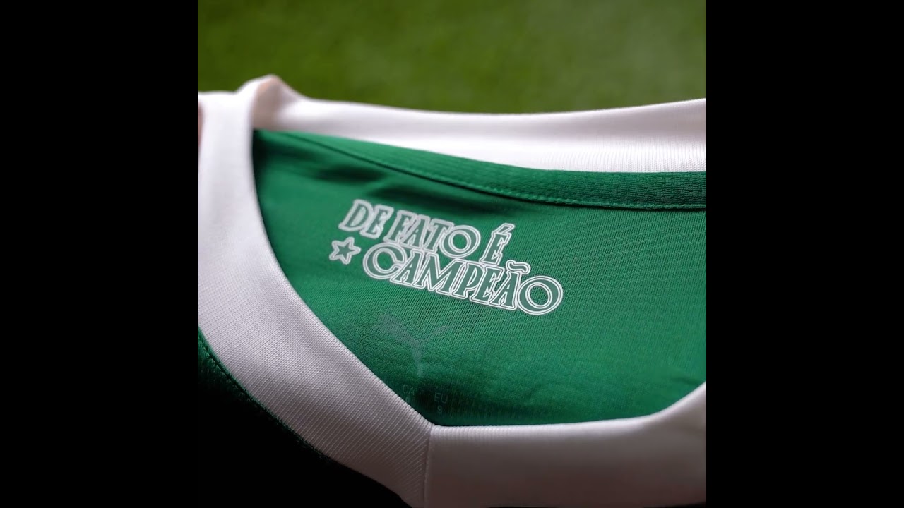 Camisa do Palmeiras I 2526 Torcedor Puma Masculina 9972H207