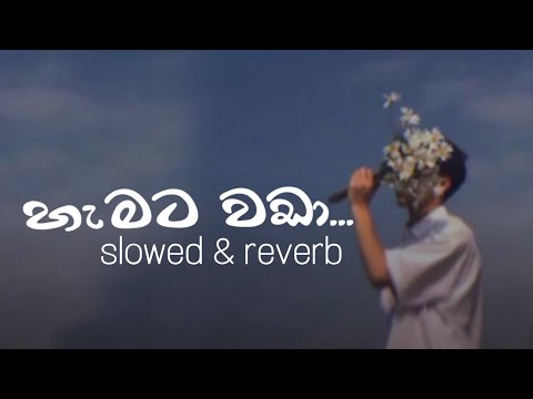 හැමට වඩා (agahigakam)  |   slowed & reverb  |   #slowedandreverb #agahigakam