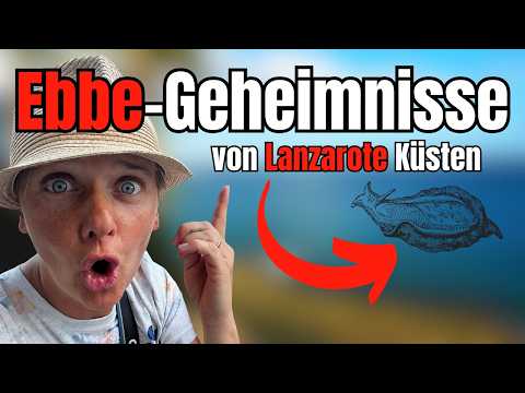 Lanzarotes Küsten bei Ebbe: Ein unvergessliches Erlebnis für Naturentdecker 🐚🌋