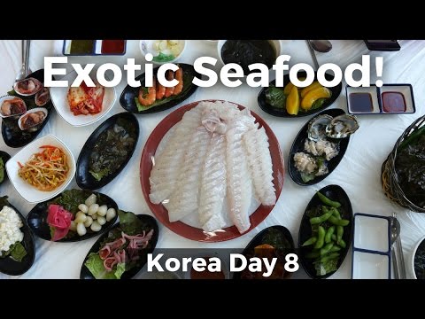 Frutos do mar exóticos coreanos em Gunsan, Coreia do Sul! (Dia 8)