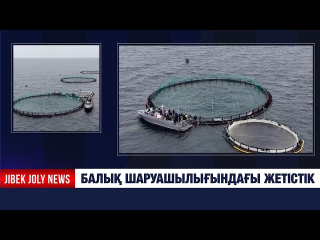 Балық шаруашылығындағы жетістік