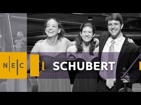Schubert: Piano Trio in E-flat major, Op. 100