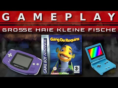 Große Haie - Kleine Fische
