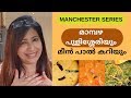 Manchester Series 12 Mambazha Pulissery Thengapal Meencurry Achingapayar Mezhukkupuratti