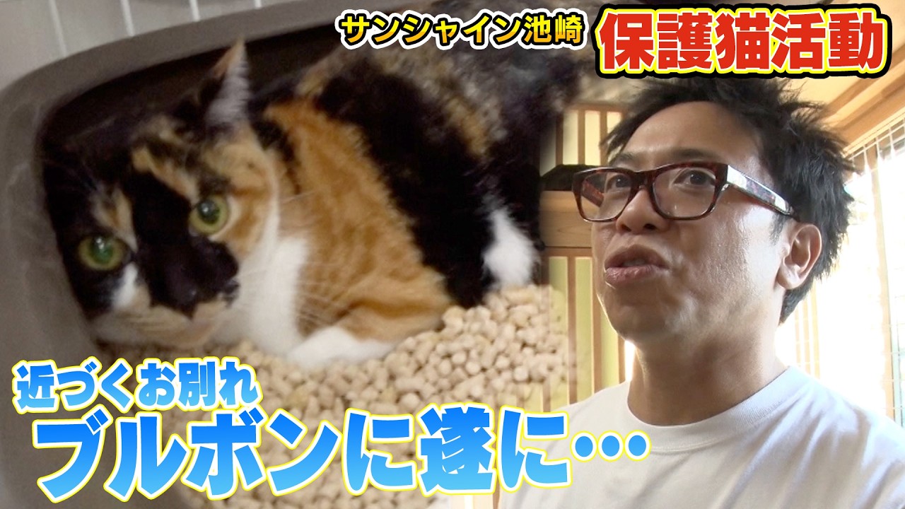 【新しい飼い主さん】サンシャイン池崎さんと保護猫ブルボンが遂に譲渡会に・・・（嗚呼!!みんなの動物園）