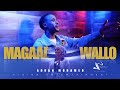Adnan Mohamed Magaal Wallo New Ethiopian Oromo Music 2021 Offical Video