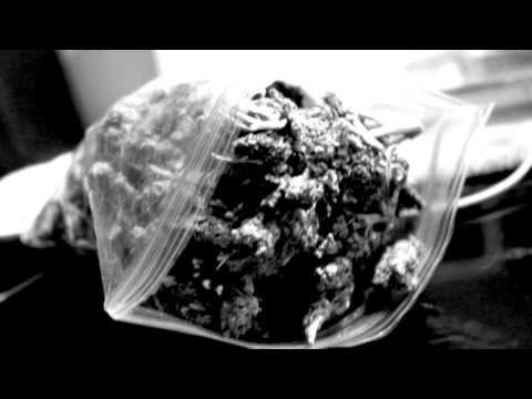 Trillmatic "Freestyle by Pani - The F.A.M