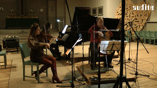 Johannes Brahms: The Complete Piano Trios _ Trio Testore