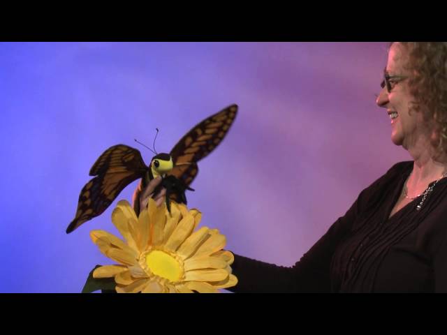 Video Teaser für Folkmanis® Swallowtail Butterfly Puppet