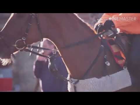 Fight is end... Sea Of Class! :'(