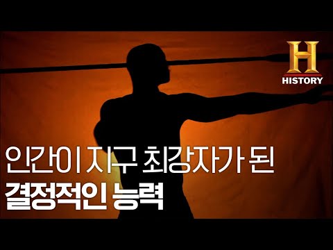 아이콘