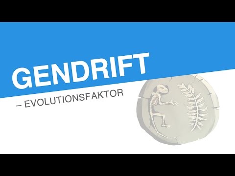 GENDRIFT – EVOLUTIONSFAKTOR | Biologie | Evolutionsbiologie