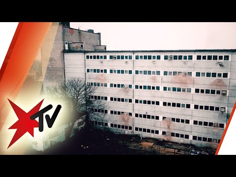 Das Schweinehochhaus - zwei Jahre später | stern TV