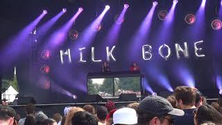 Milk &amp; Bone - Coconut Water Live @ Osheaga