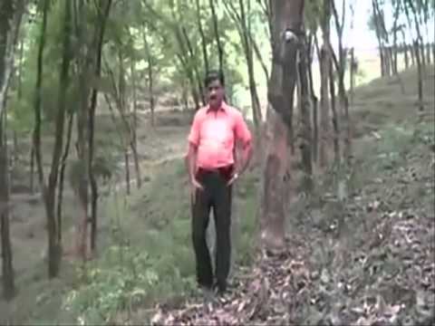 machinbizarre The Group (vidéo-clip)