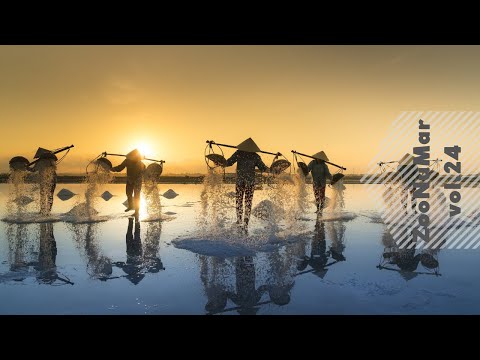 Jackin House, Funky House, Tribal House, Jazz House, Latin House | ZooNuMar Mix 024(TSJ sound)