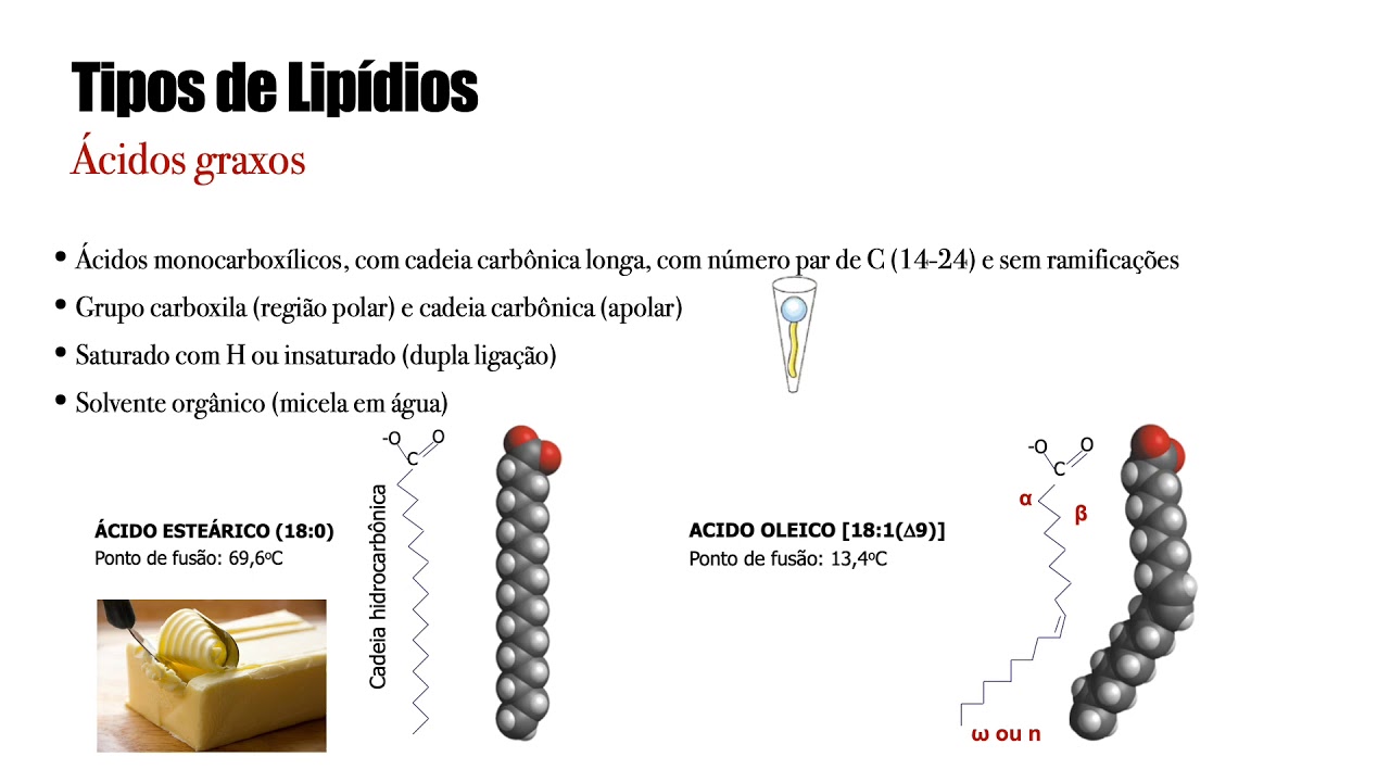 Metabolismo de Lipídios Medicina