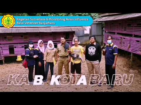 Kegiatan Surveilans dan Monitoring Avian Influenza Virus