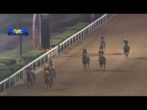2023-03-31 Race 4(0181) - THE KAGOSHIMA (Div 1)
