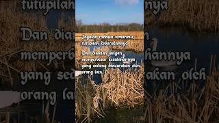 Download lagu Teman Sejati mp3