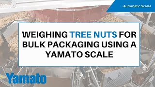 Weighing Tree Nuts for Bulk Packaging Using a Yamato Scale