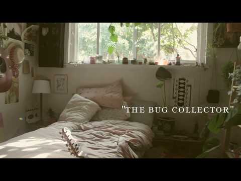 The Bug Collector - Haley Heyndrickx Cover