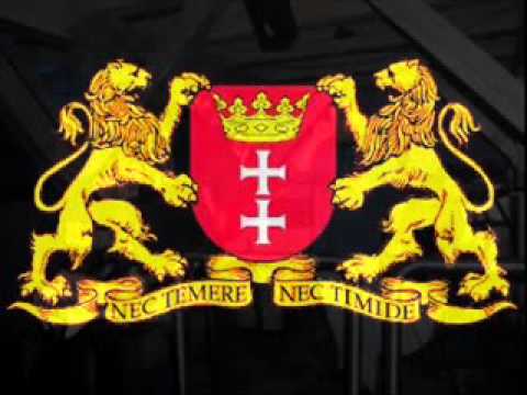 Szybkie Banany (Speedy Bananas) - Solidarnosc