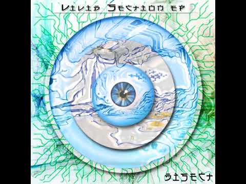 02 Disect - Vagabond