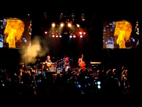 Bobby Lee Rodgers Trio - St. Petersburg, FL - 12/31/2011 Video D