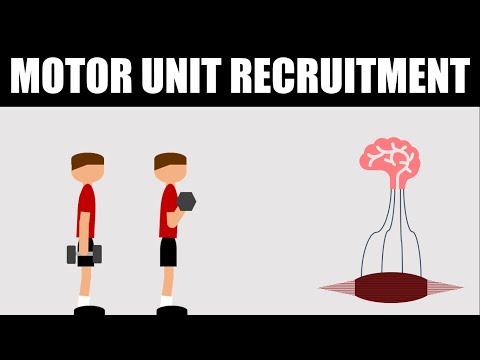 How Close to Failure Should You Train? | Motor Unit Recruitment for Hypertrophy Training