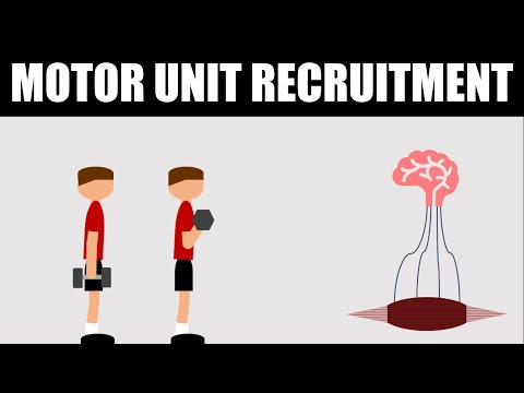 Motor Unit Recruitment for Hypertrophy Training | How Close to Failure Should You Train?