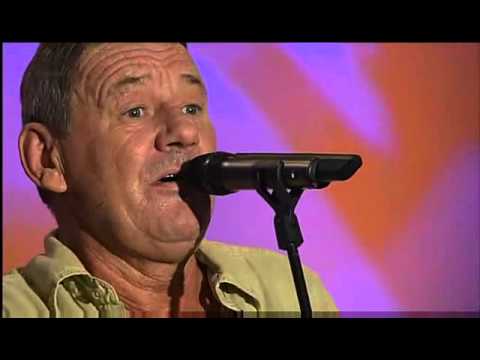 Wolfgang Ambros - My Way 2011