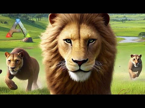 Domando um BANDO de LEÕES  -  Série de  PVP RAGNAROK  - 24