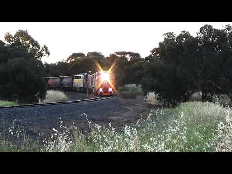SSR 9198 grain train on the North-West line