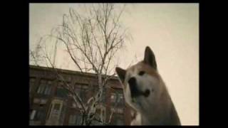 Siempre a tu lado , Hachiko - Una historia real - Boyzone