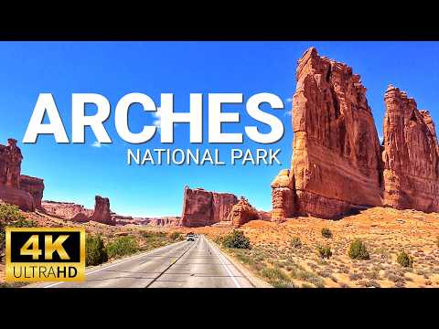 World of Drives and World of Walks