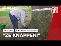 Nooit eerder vertoonde beelden van 'eikenprocessierupskiller' Attie