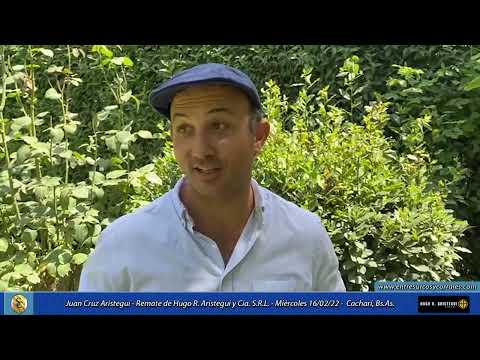 16-02-22 - Juan Cruz Arístegui - Remate de Hugo R .Arístegui y Cía. S.R.L. -  Cacharí, Bs.As.