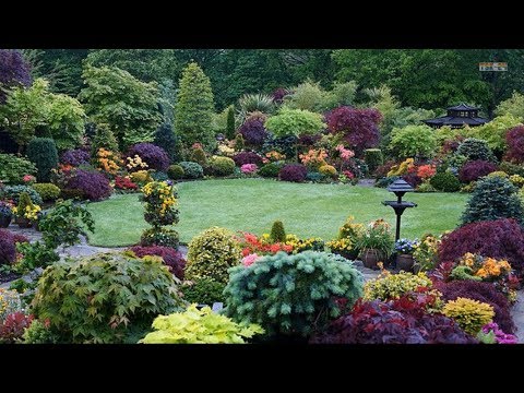 download lagu mp3 mp4 Best Backyard Gardens, download lagu Best Backyard Gardens gratis, unduh video klip Best Backyard Gardens