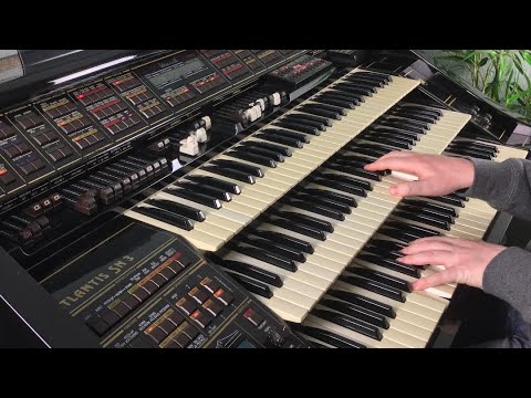 You´re The One That I Want (John Travolta & Olivia Newton John) / Florian Hutter - Wersi Atlantis