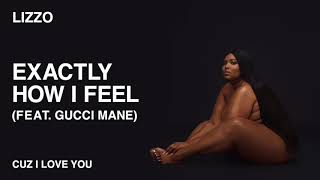 Songtext von Lizzo - Exactly How I Feel Text Musik-video-Miniaturansicht