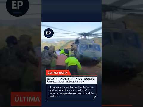 Capturan a alias ‘Lobo’, señalado cabecilla del Frente 36 en Antioquia.