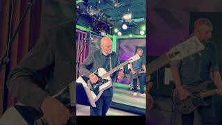 “Rhinoceros” live