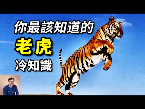 權白虎
