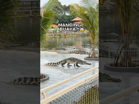 JUJUR MERINDING GUYS😭😭 #holidayswithshorts #ngeshortsdulu #ngeshortsbareng #rayaindishorts