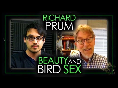 The Power of Choice & Feather Evolution (Richard Prum Pt. 2) | Science Life