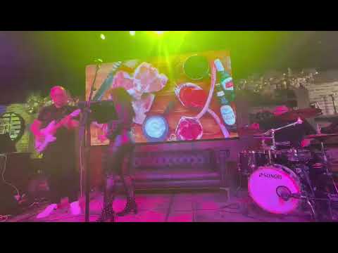 Promotional video thumbnail 3 for Teresa Mora Show & Band