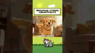 #映画 #犬のいる暮らし #犬の豆知識 #犬