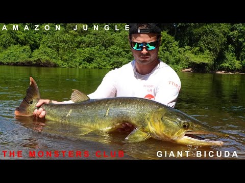 Fishing The Fastest Fish In The Amazon | THE GIANT BICUDA | An Original Film